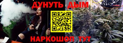 стаф Кинель
