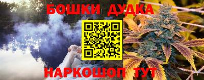стаф Кинель