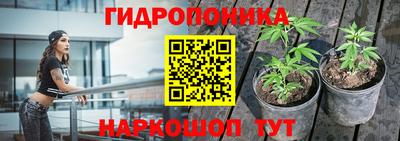 стаф Кинель