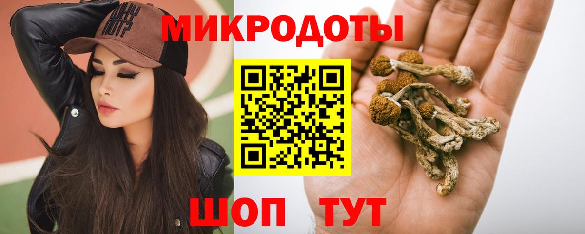 Галлюциногенные грибы MAGIC MUSHROOMS  Вход с VPN  хочу   Псилоцибиновые грибы Cubensis  Красный Сулин 